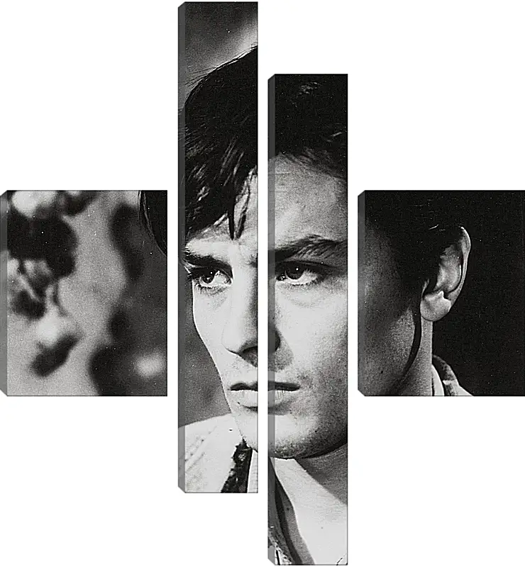 Модульная картина - Ален Делон. Alain Delon