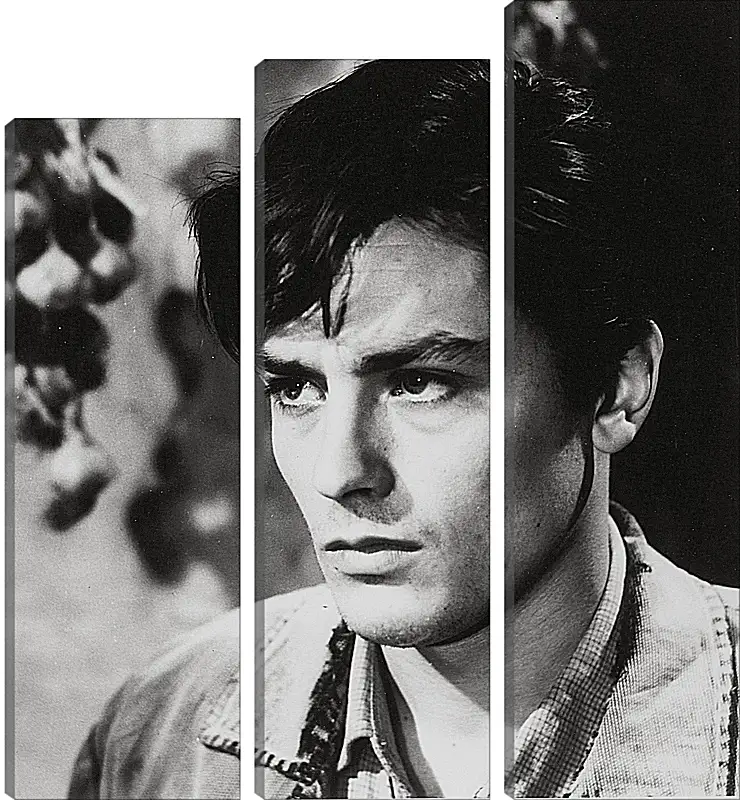 Модульная картина - Ален Делон. Alain Delon