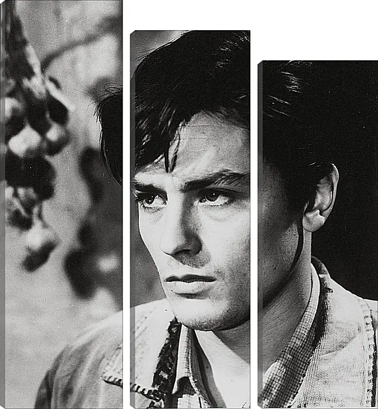 Модульная картина - Ален Делон. Alain Delon