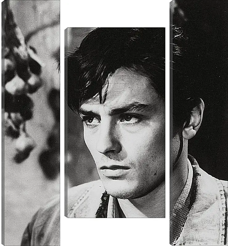 Модульная картина - Ален Делон. Alain Delon