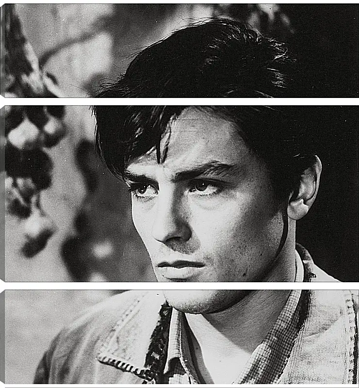 Модульная картина - Ален Делон. Alain Delon