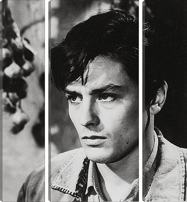 Модульная картина - Ален Делон. Alain Delon