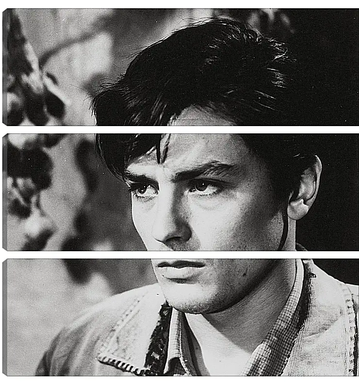 Модульная картина - Ален Делон. Alain Delon