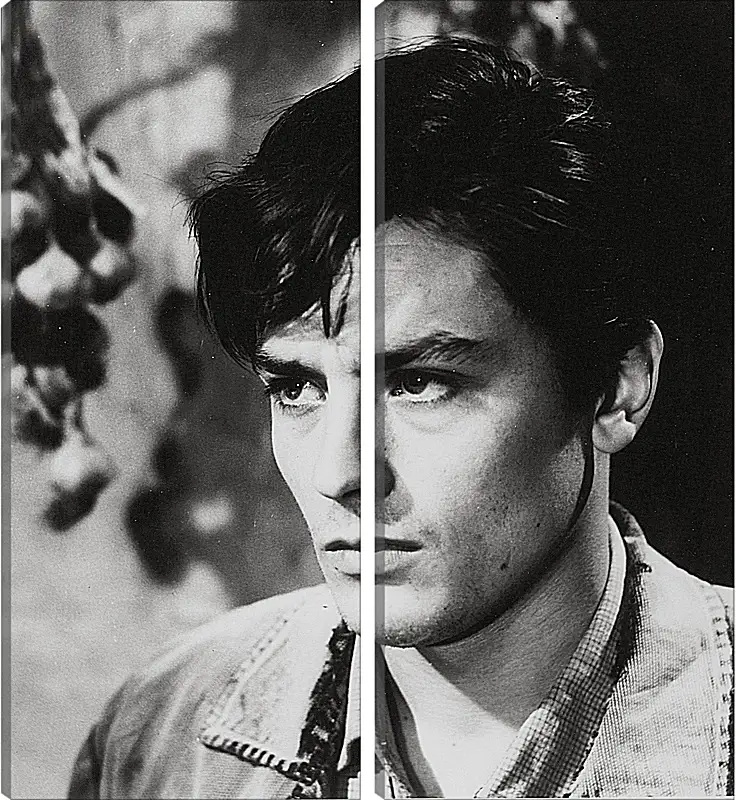 Модульная картина - Ален Делон. Alain Delon