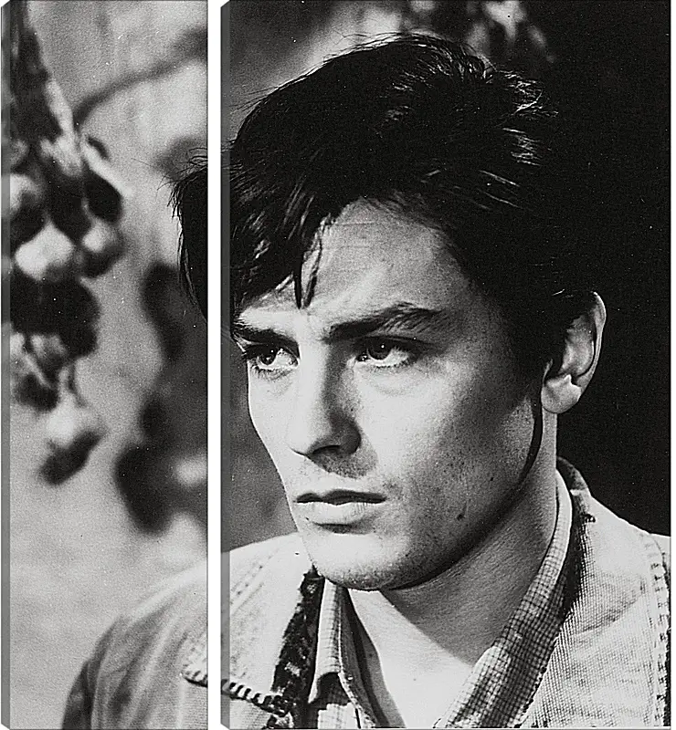 Модульная картина - Ален Делон. Alain Delon