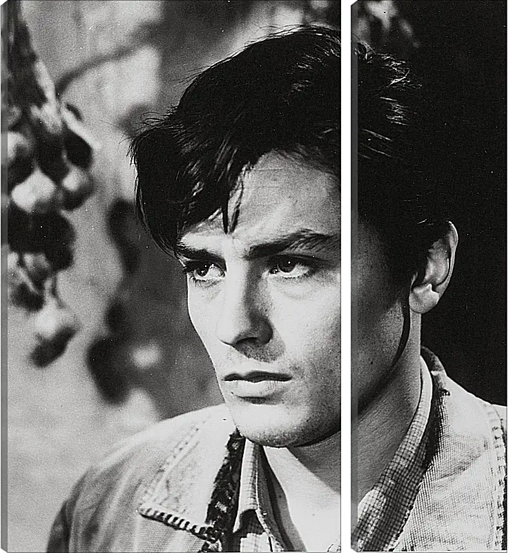 Модульная картина - Ален Делон. Alain Delon