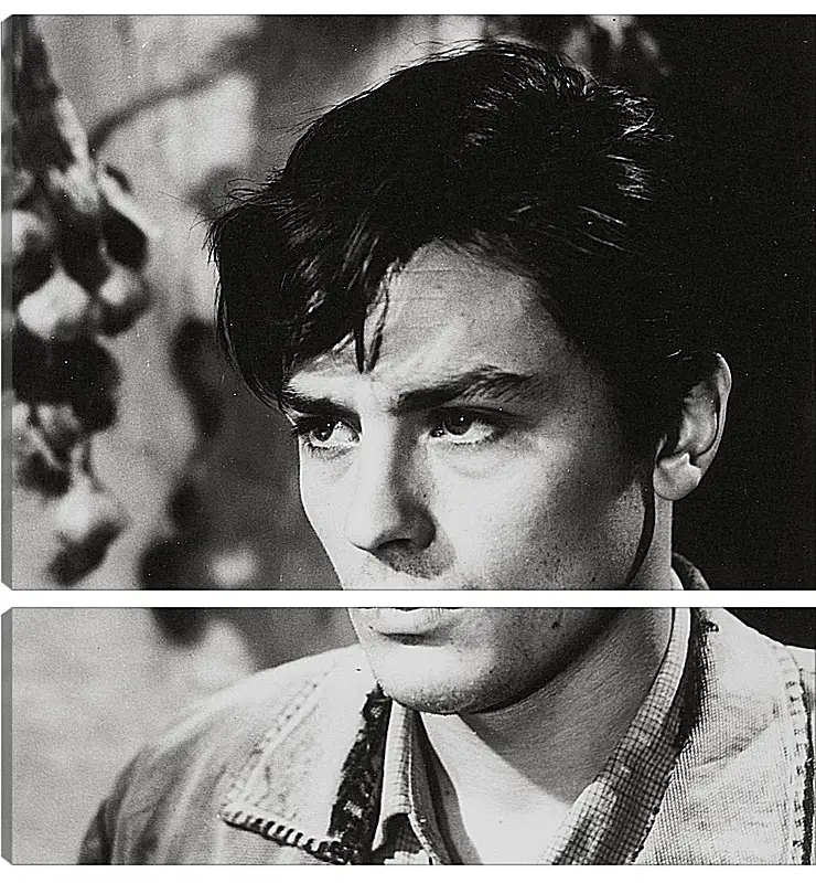 Модульная картина - Ален Делон. Alain Delon