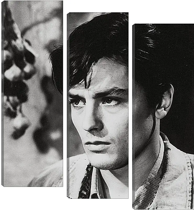 Модульная картина - Ален Делон. Alain Delon