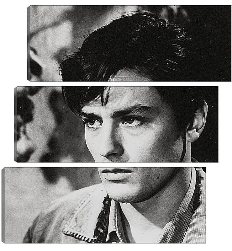 Модульная картина - Ален Делон. Alain Delon