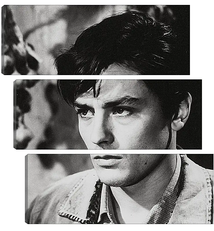 Модульная картина - Ален Делон. Alain Delon