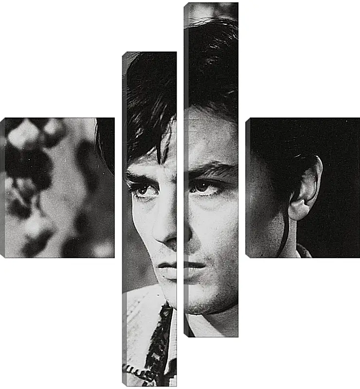 Модульная картина - Ален Делон. Alain Delon