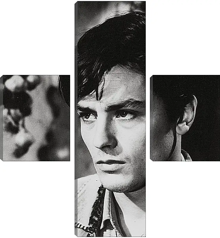 Модульная картина - Ален Делон. Alain Delon