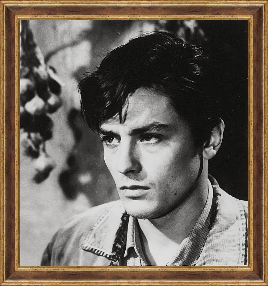 Картина в раме - Ален Делон. Alain Delon