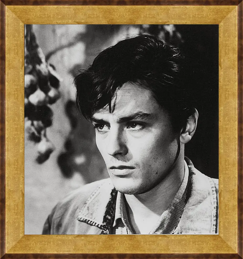 Картина в раме - Ален Делон. Alain Delon