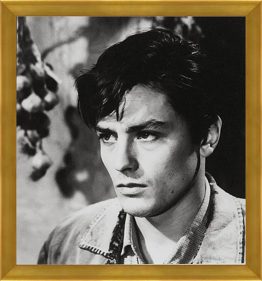 Картина в раме - Ален Делон. Alain Delon