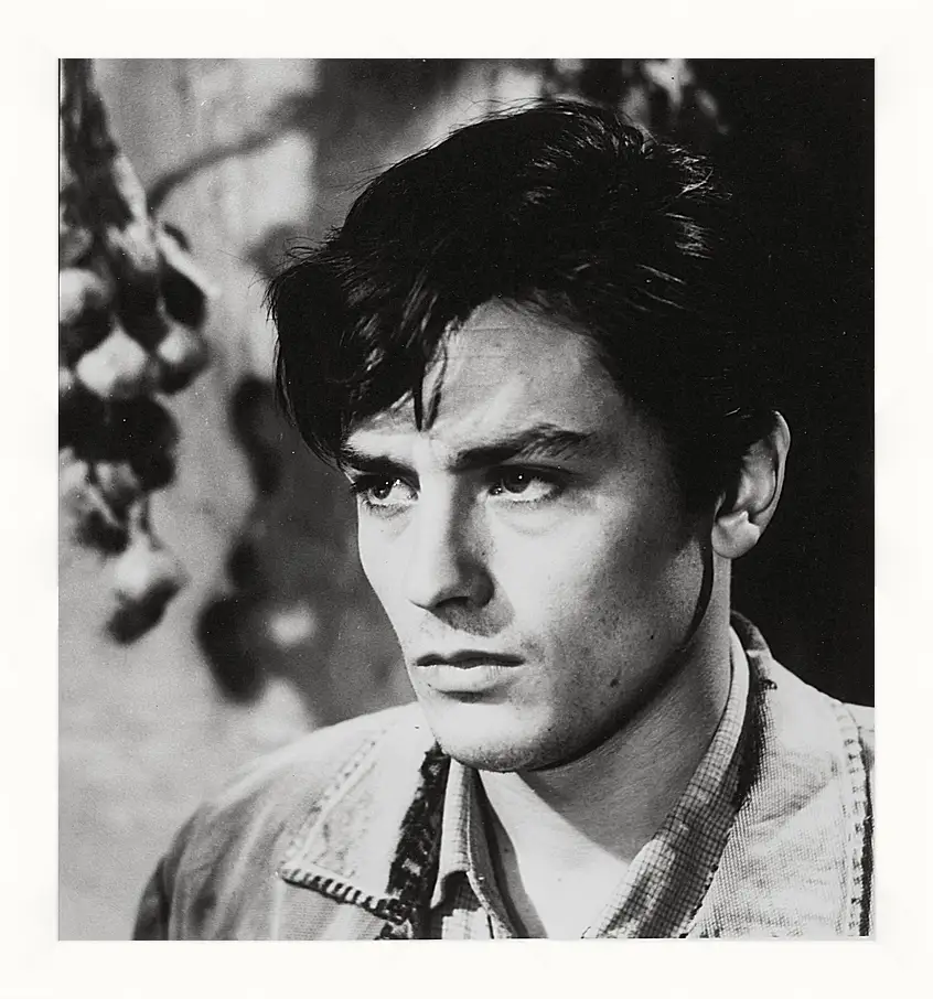 Картина в раме - Ален Делон. Alain Delon