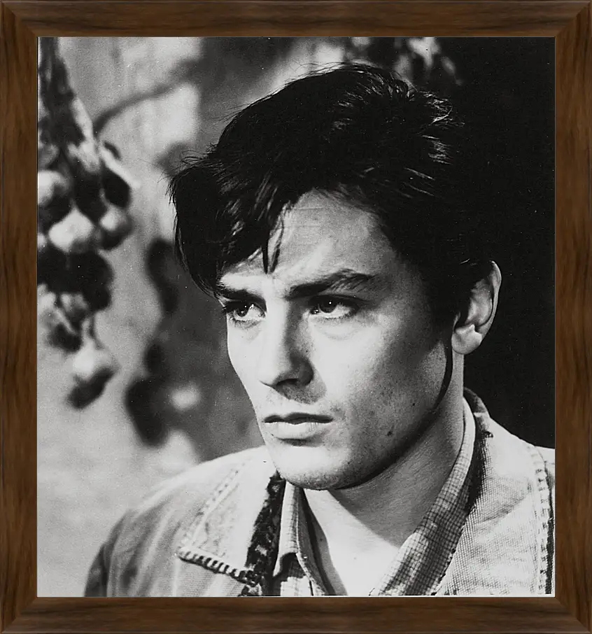 Картина в раме - Ален Делон. Alain Delon