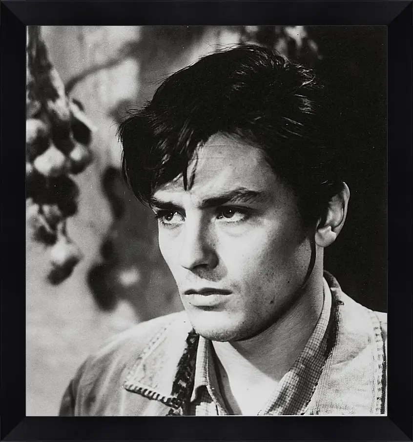 Картина в раме - Ален Делон. Alain Delon