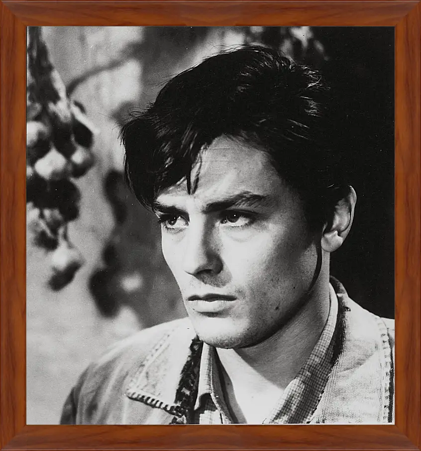 Картина в раме - Ален Делон. Alain Delon