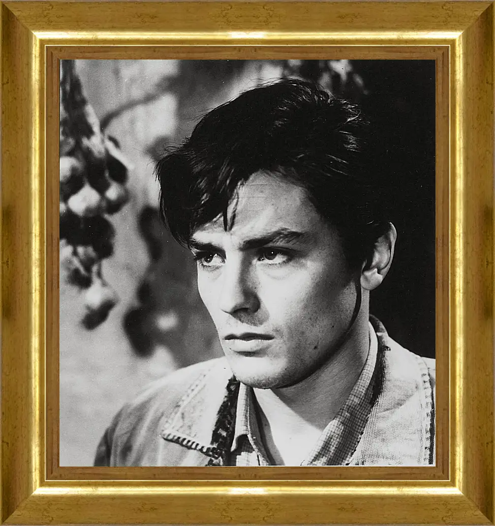 Картина в раме - Ален Делон. Alain Delon