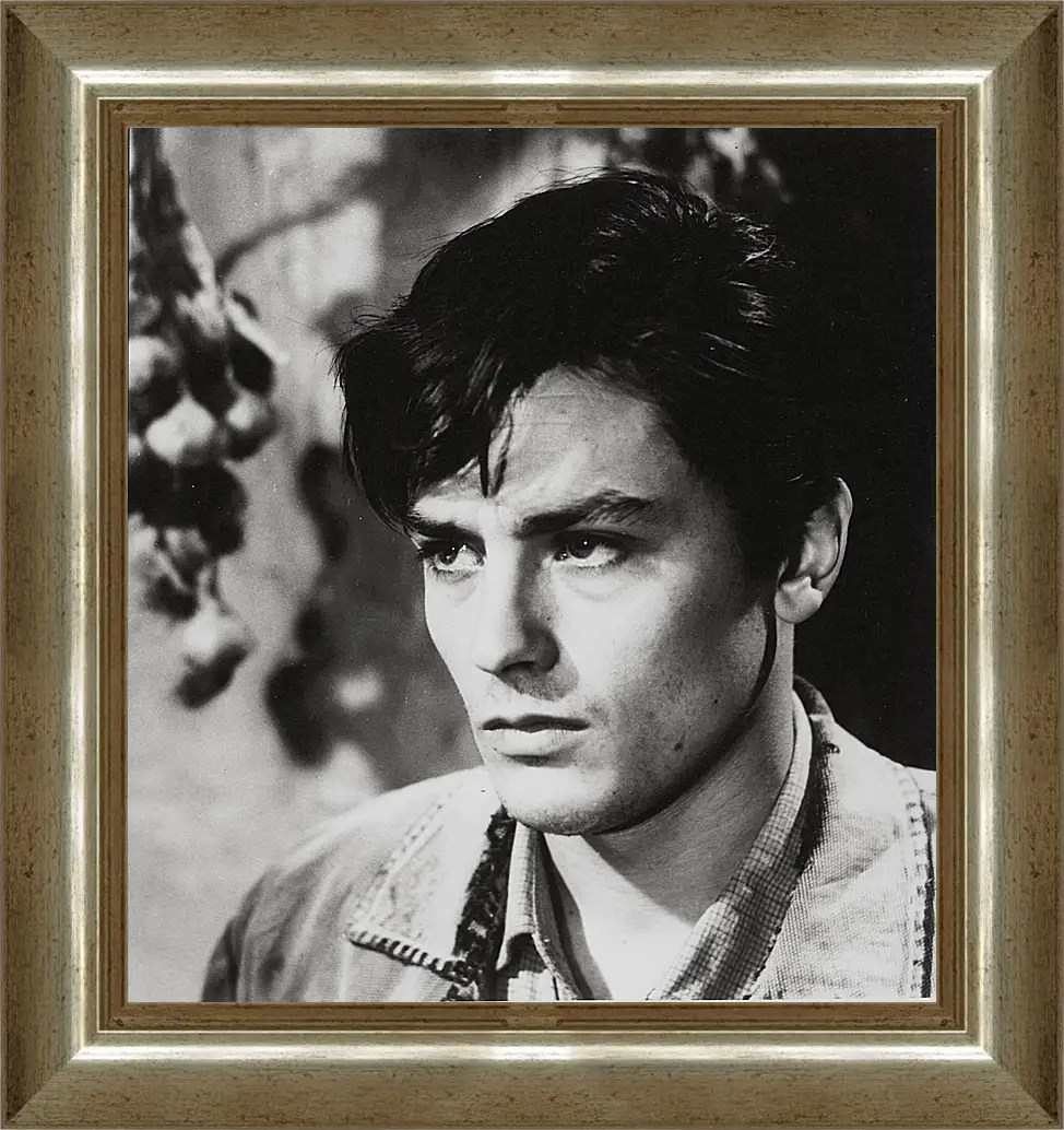 Картина в раме - Ален Делон. Alain Delon