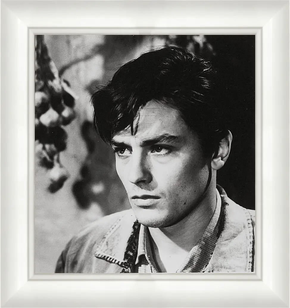 Картина в раме - Ален Делон. Alain Delon