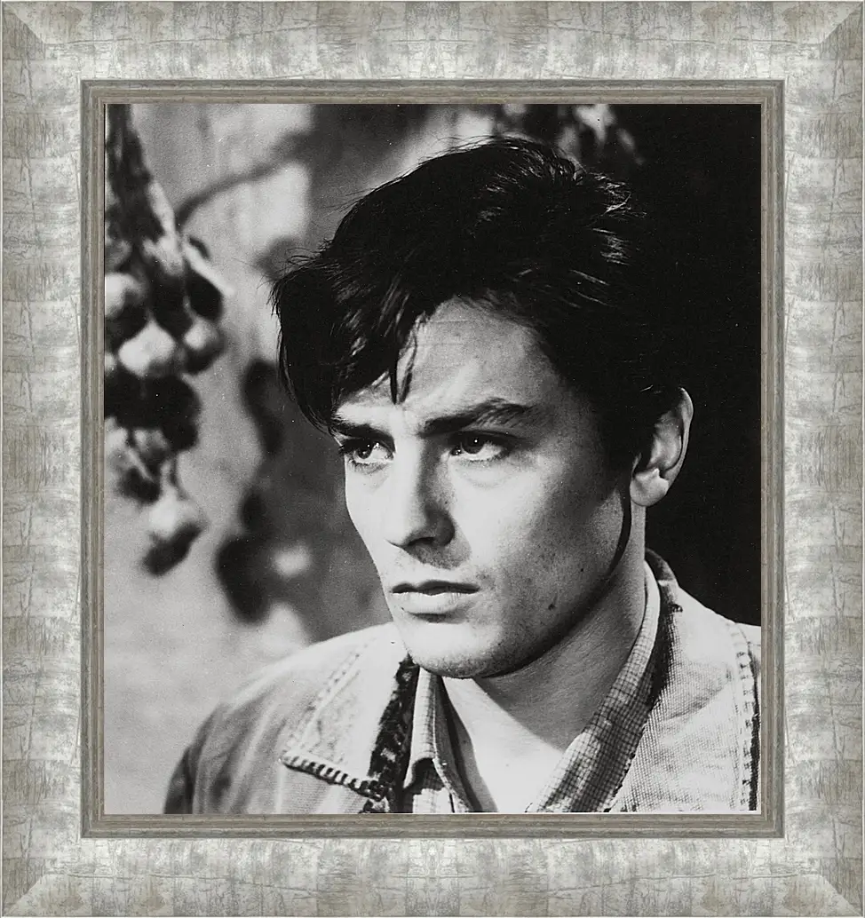 Картина в раме - Ален Делон. Alain Delon