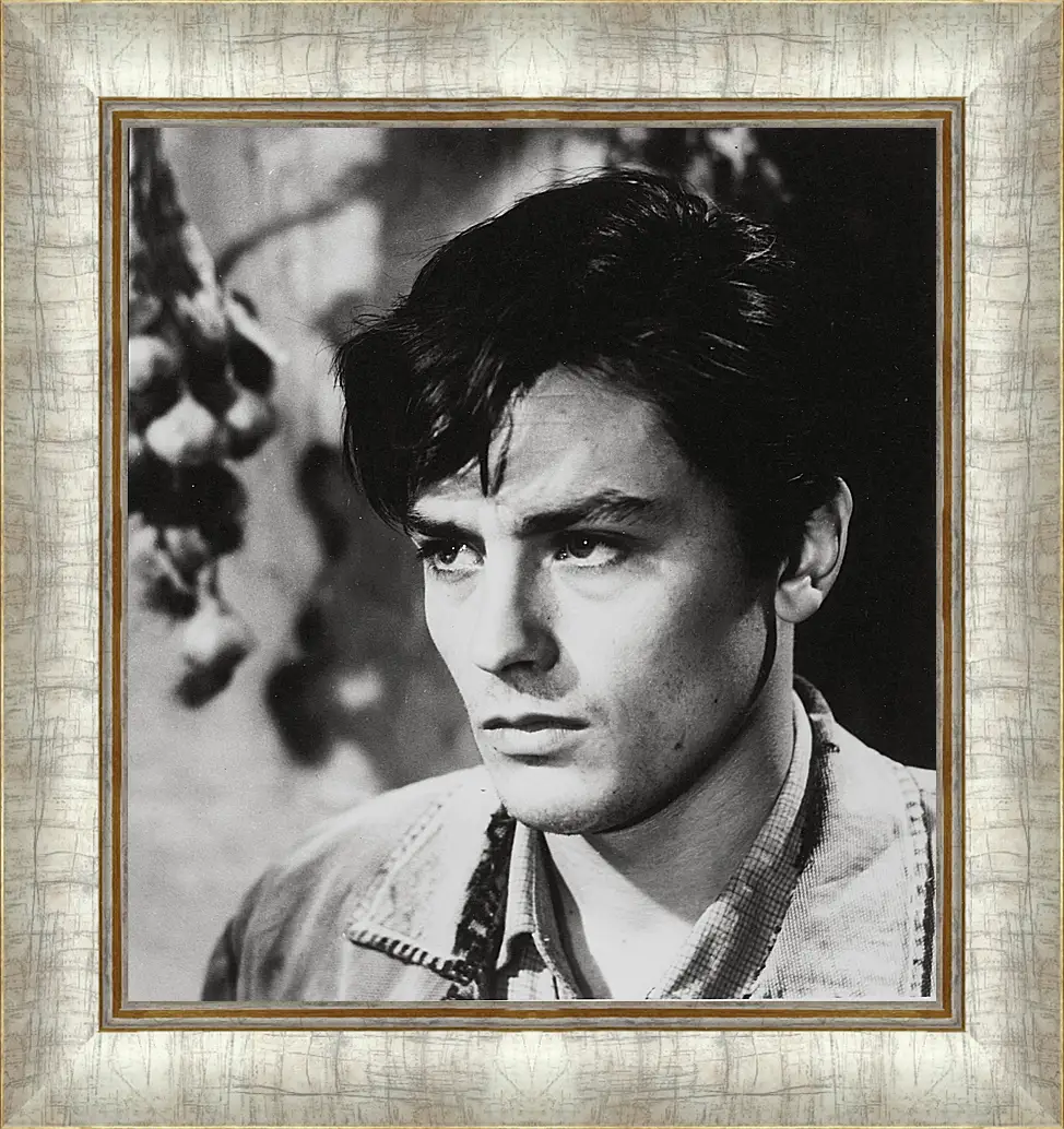 Картина в раме - Ален Делон. Alain Delon