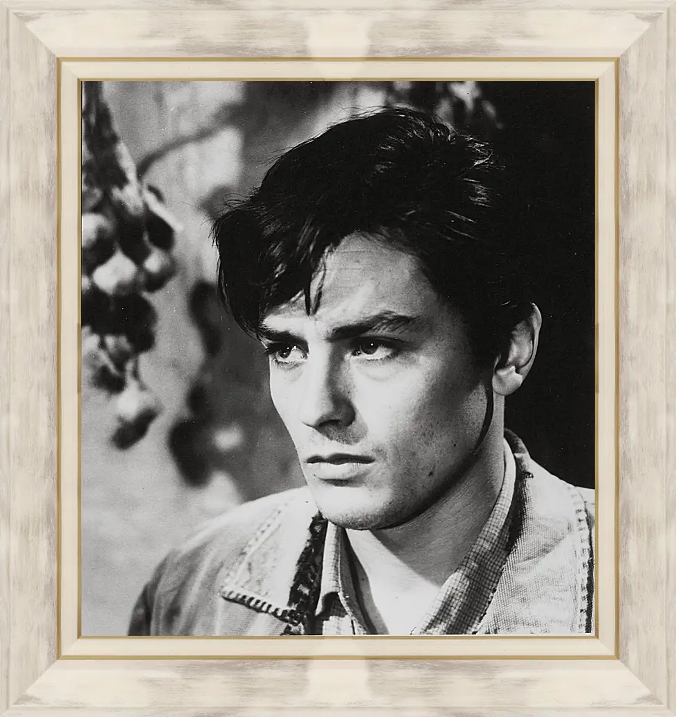 Картина в раме - Ален Делон. Alain Delon