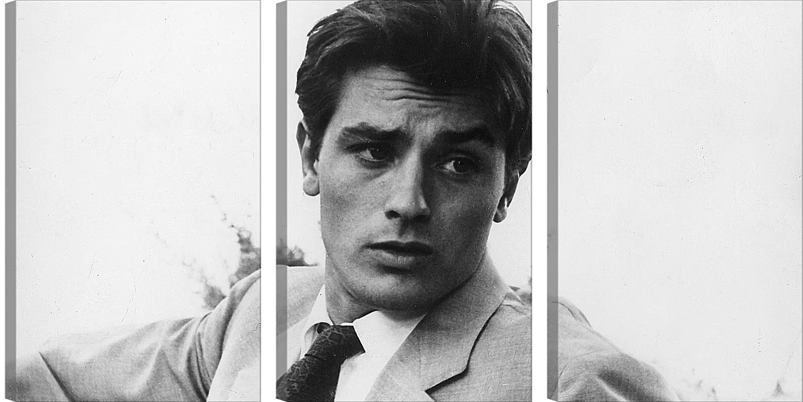 Модульная картина - Ален Делон. Alain Delon