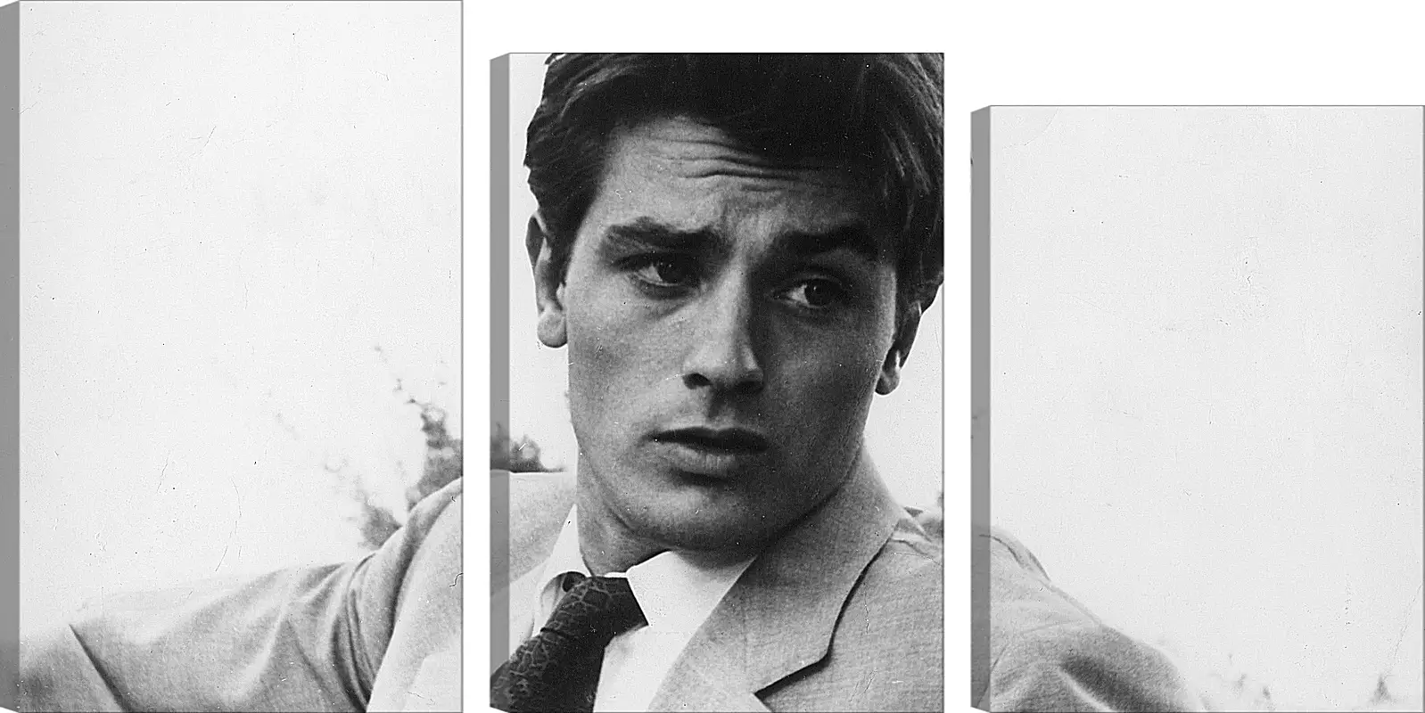 Модульная картина - Ален Делон. Alain Delon