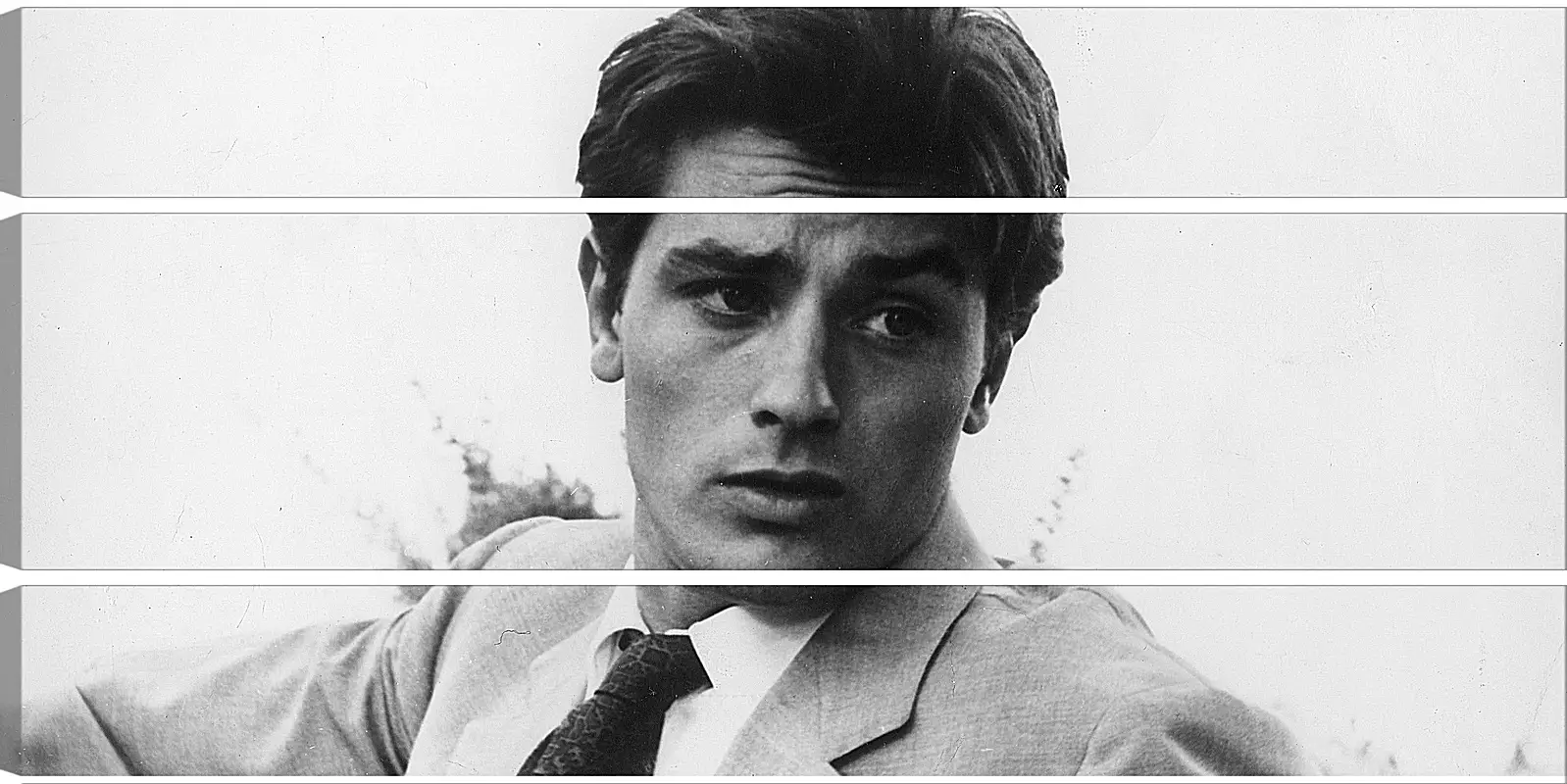 Модульная картина - Ален Делон. Alain Delon