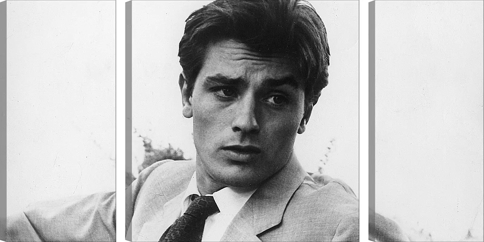 Модульная картина - Ален Делон. Alain Delon