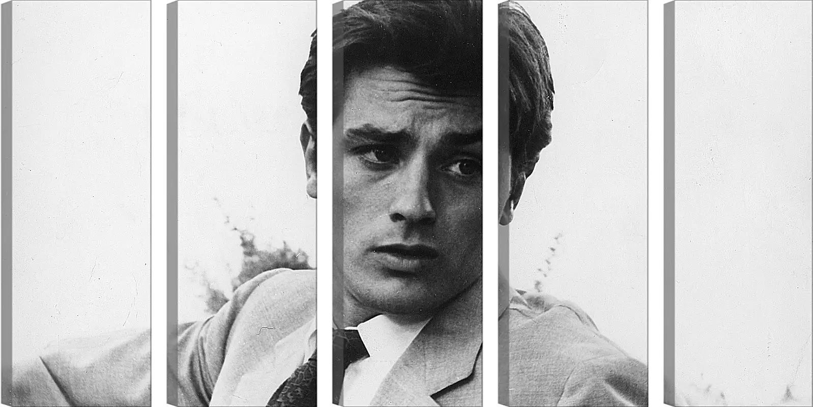 Модульная картина - Ален Делон. Alain Delon