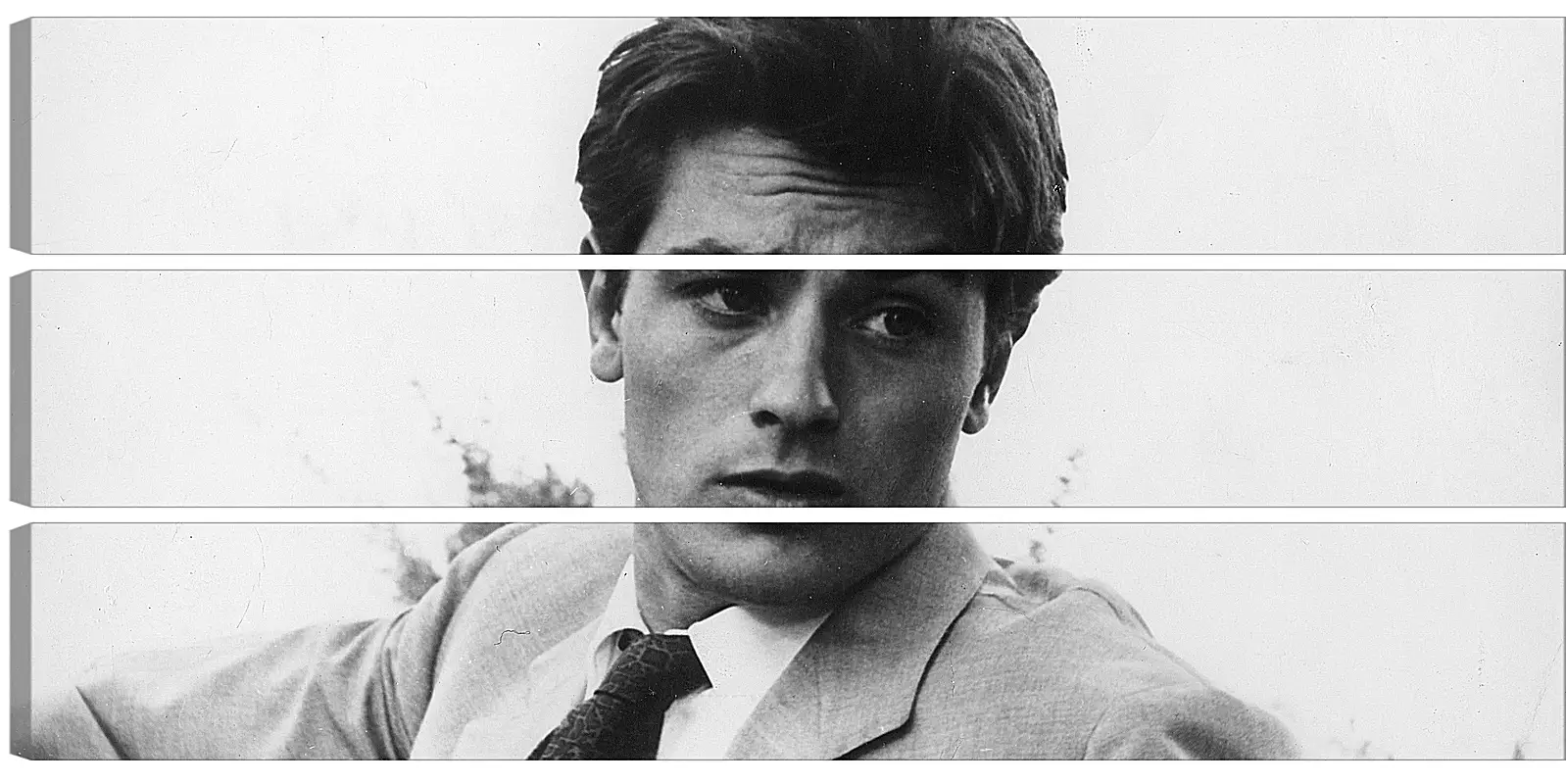 Модульная картина - Ален Делон. Alain Delon