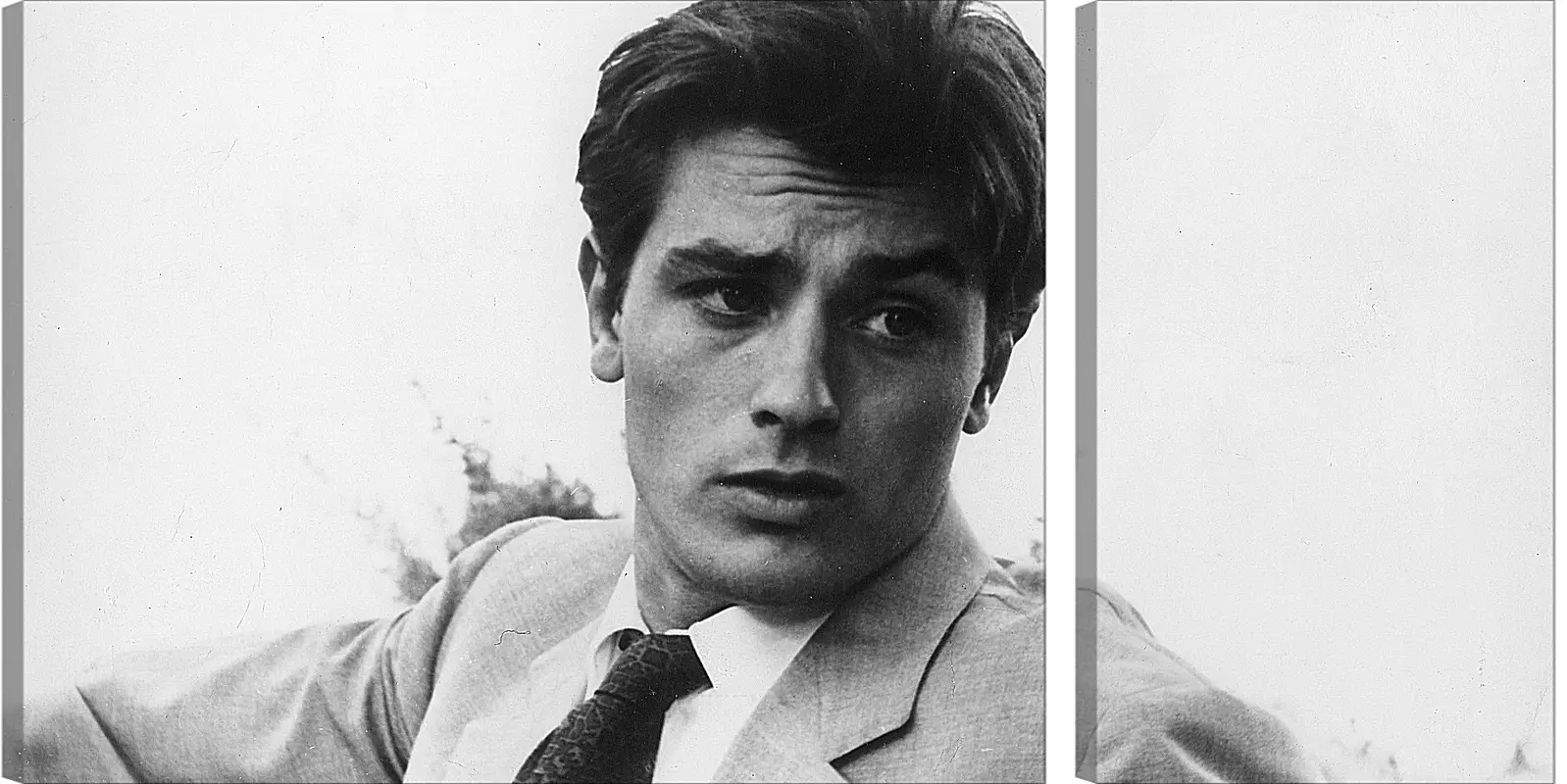 Модульная картина - Ален Делон. Alain Delon