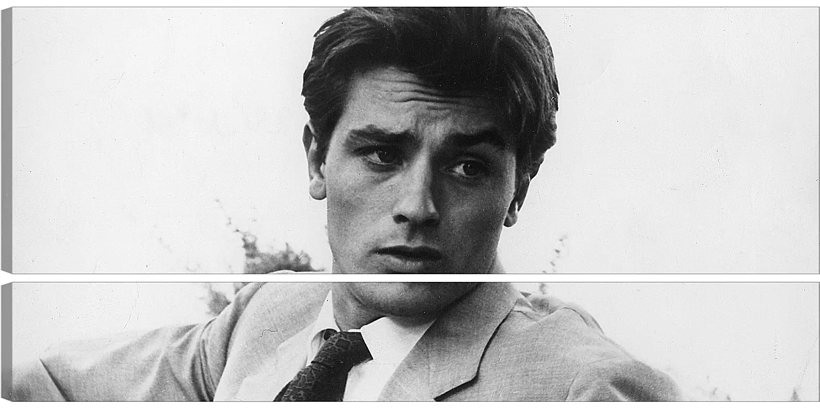 Модульная картина - Ален Делон. Alain Delon