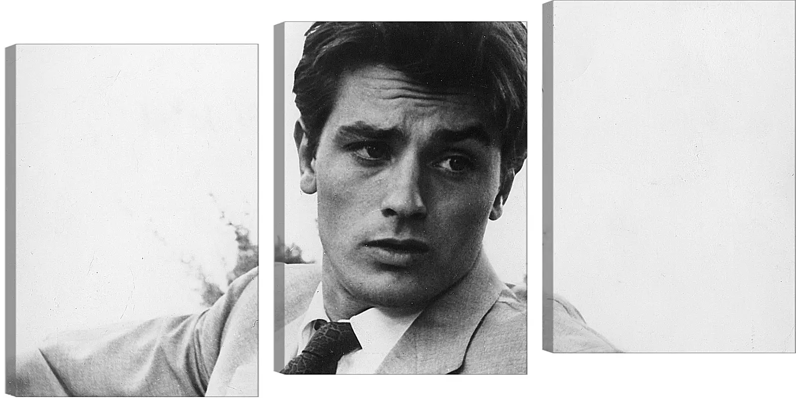 Модульная картина - Ален Делон. Alain Delon