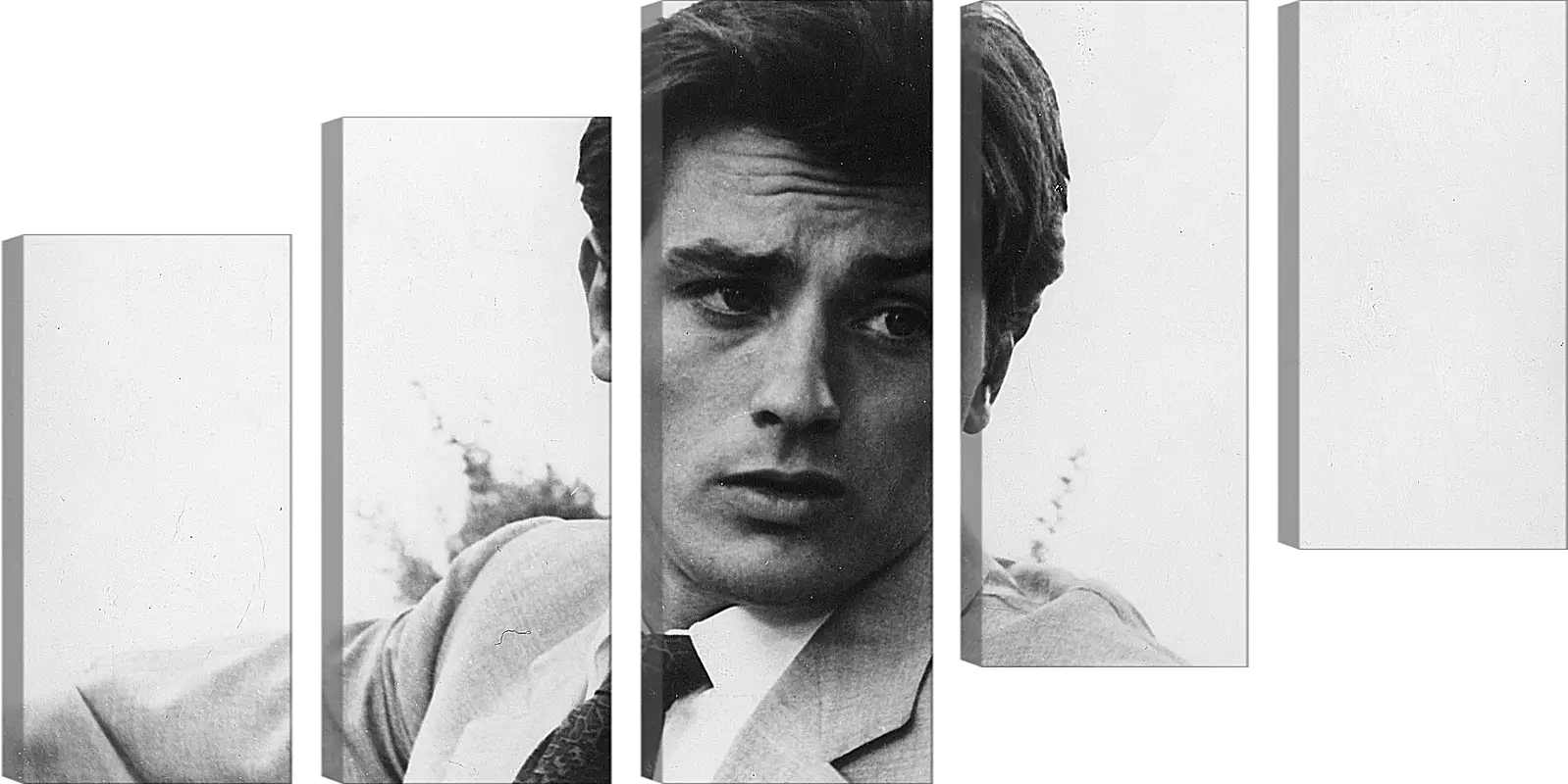 Модульная картина - Ален Делон. Alain Delon