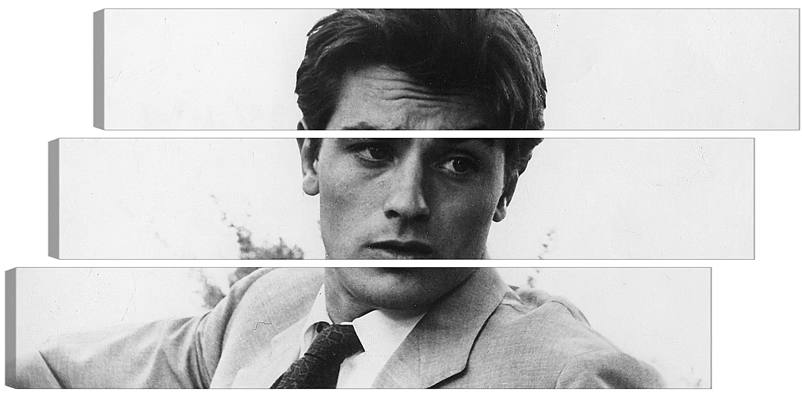 Модульная картина - Ален Делон. Alain Delon