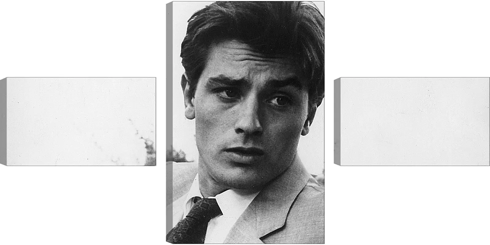 Модульная картина - Ален Делон. Alain Delon