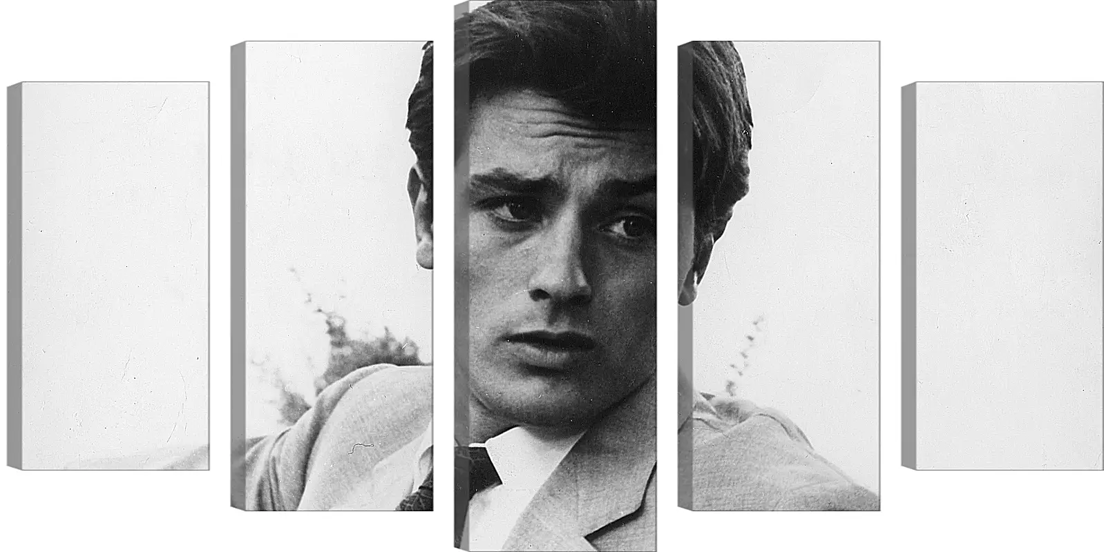 Модульная картина - Ален Делон. Alain Delon