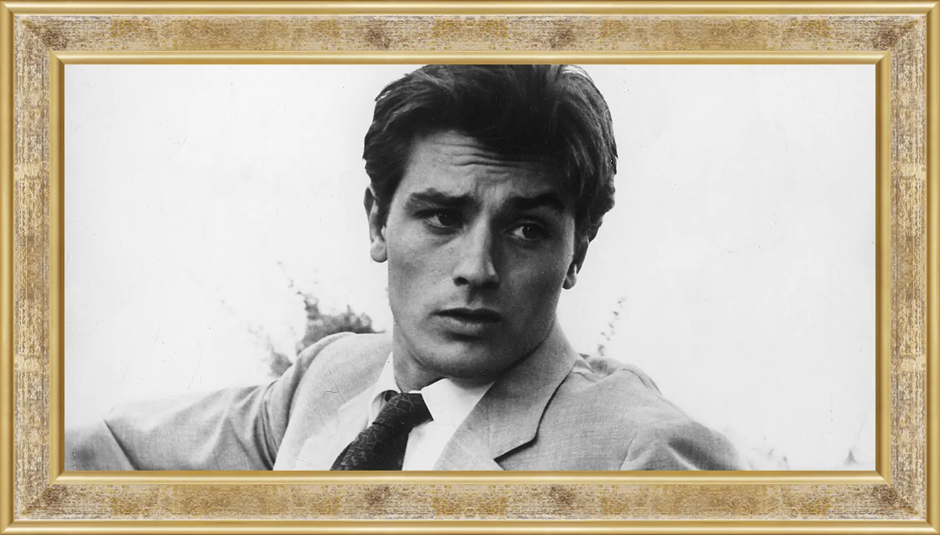 Картина в раме - Ален Делон. Alain Delon