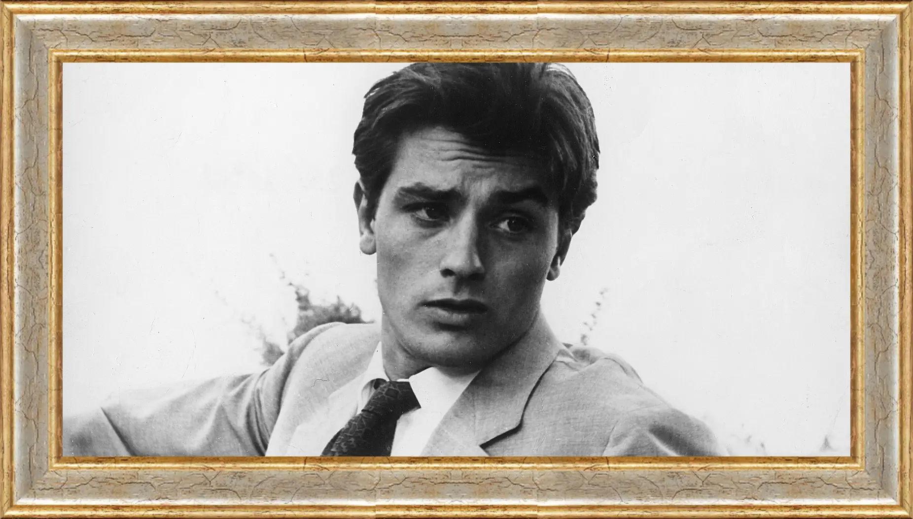 Картина в раме - Ален Делон. Alain Delon