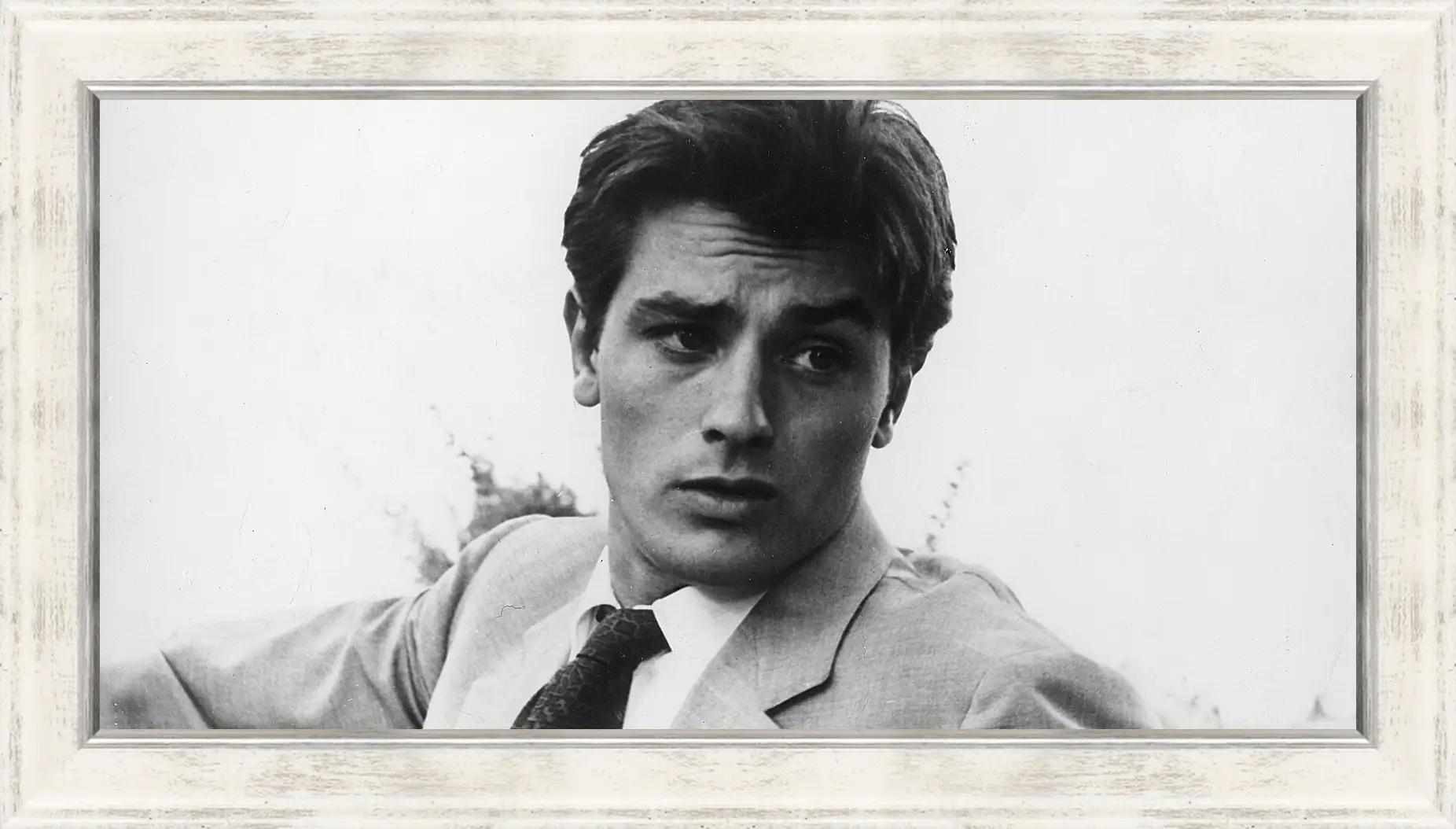 Картина в раме - Ален Делон. Alain Delon