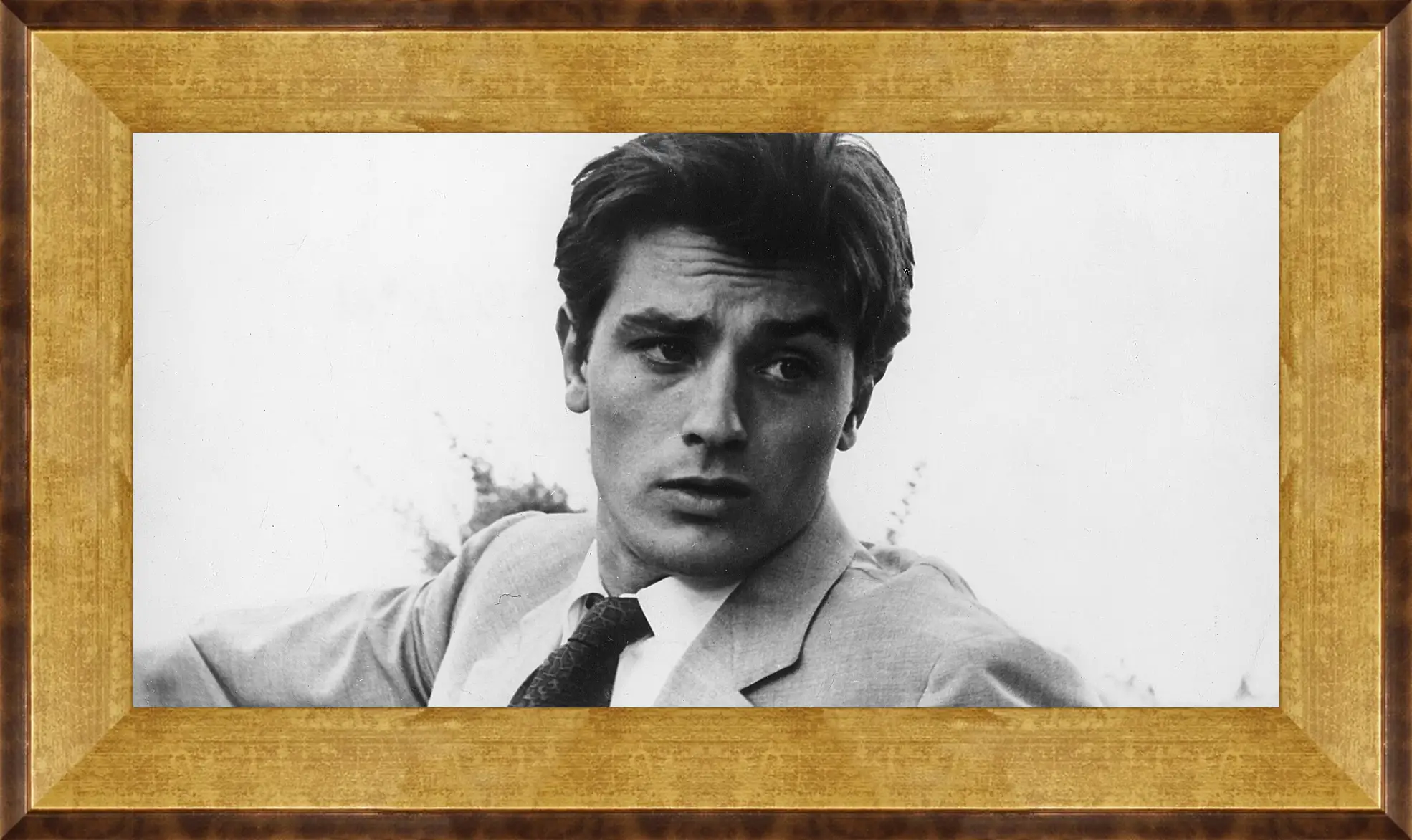 Картина в раме - Ален Делон. Alain Delon