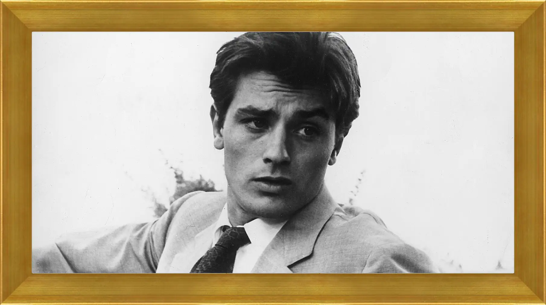 Картина в раме - Ален Делон. Alain Delon