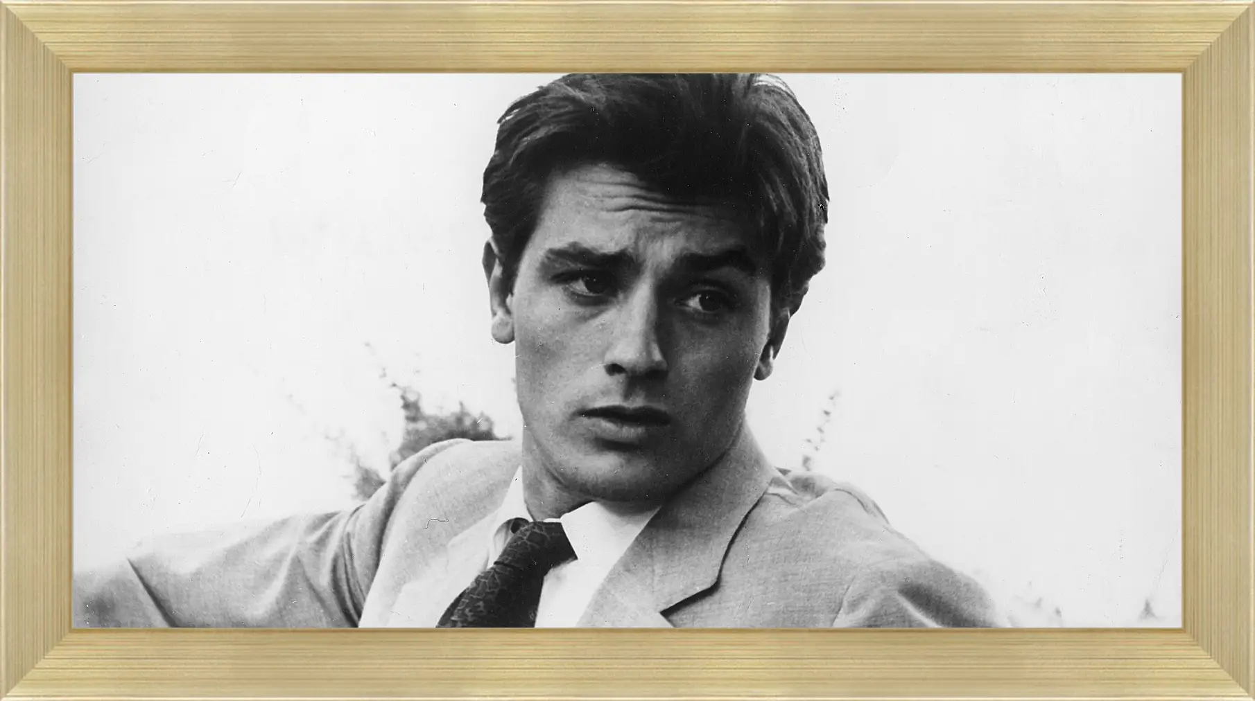 Картина в раме - Ален Делон. Alain Delon