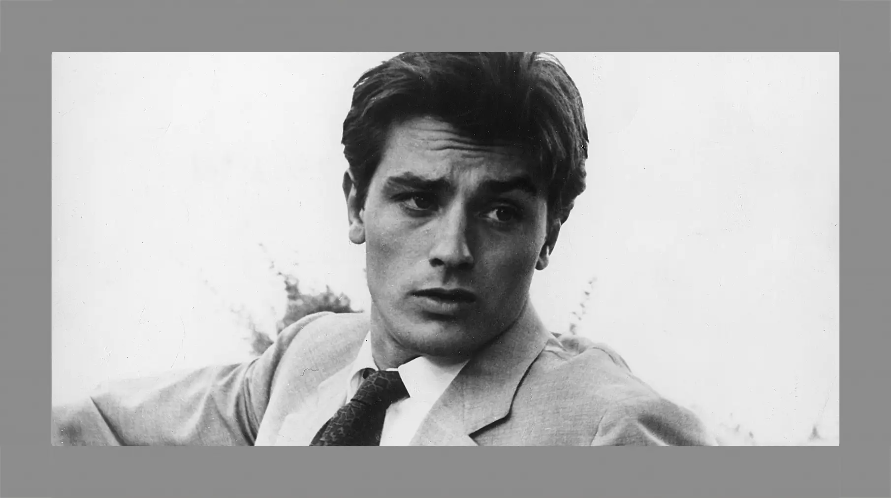 Картина в раме - Ален Делон. Alain Delon