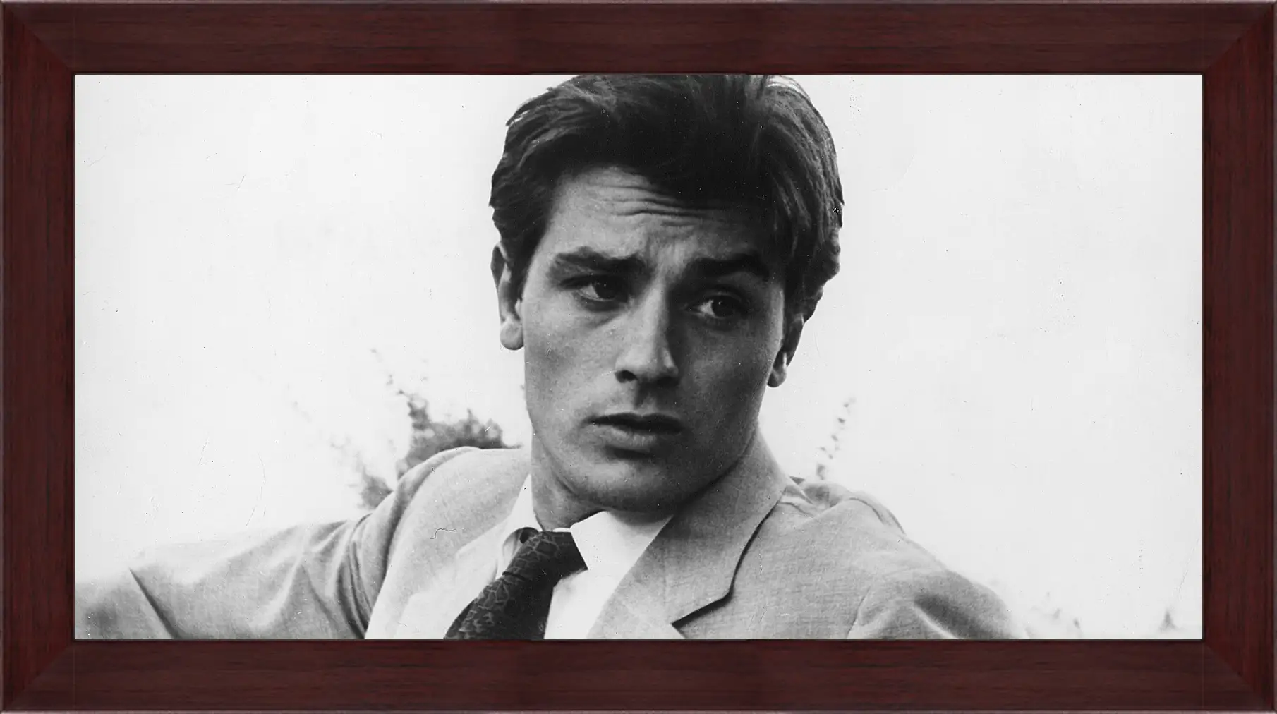 Картина в раме - Ален Делон. Alain Delon